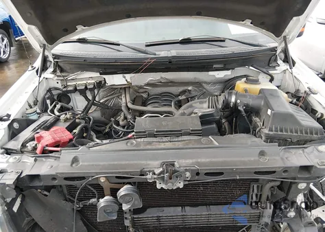 2013 Ford F-150 Xlt from USA, damaged, VIN 1FTFX1CF0DFD91651